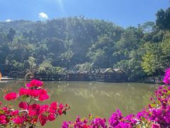 -西双版纳原始森林公园