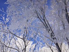 -中旅松花湖滑雪场