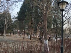 -康庄公园