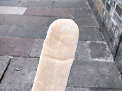 黄酒冰棒-香园茶社·金陵小灶(老门东店)