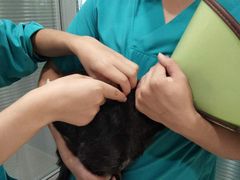 -骐奇宠物诊疗中心(南亭公路店)