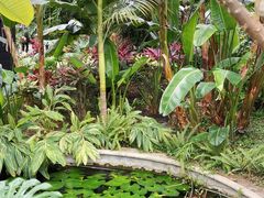 -北京植物园-展览温室