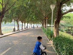 -风云岭森林公园