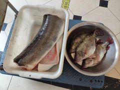 -老刘生态大鱼坊铁锅炖鱼(赛马场店)