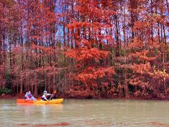 -上海海湾国家森林公园