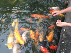 -珠海圆明新园