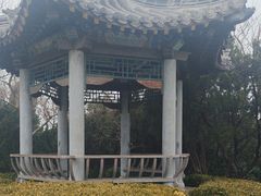 -蓬莱阁景区