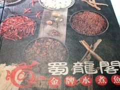 -雲蜀龙阁·金牌水煮鱼(方庄店)
