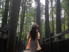 -东湖落雁景区