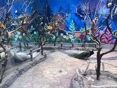 -海合安青岛极地海洋公园