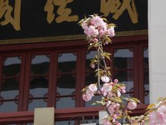 -长春观