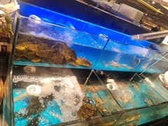 -苏格里岛自助烤肉海鲜火锅(成都金牛万达店)