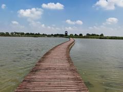 -盐城丹顶鹤湿地生态旅游区