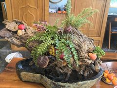 -野菌皇海景野生菌火锅(滨海大道店)