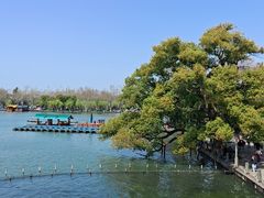 -湖畔居茶楼(湖滨店)