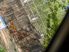 -秦皇岛野生动物园