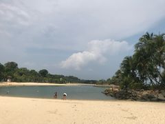 -圣淘沙天际线斜坡滑车