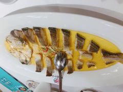 雪菜蒸大黄鱼-阿明小菜·海鲜·上海菜(梅陇店)