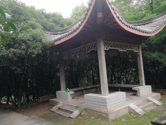 -菊花台公园