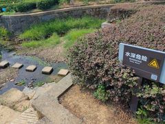 -龙坞茶村