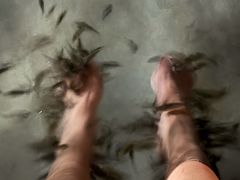 -碧水湾温泉