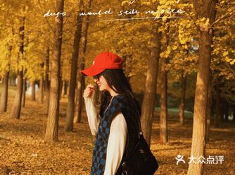 秋天可太美了 恨不得每天都长在公园里