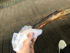 -武隆天坑地缝国家地质公园