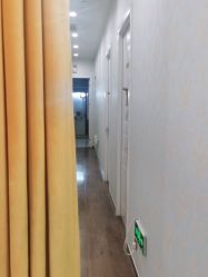 -YESIDO椰岛造型