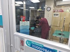 -美联众合爱康动物医院•复杂内科•肿瘤科•牙科•腔镜诊疗中心