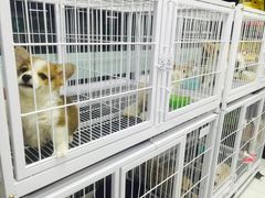 -FAELING PETS美天灵宠物(富力广场店)