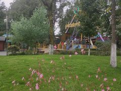 -成飞公园