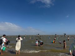 -碧海金沙