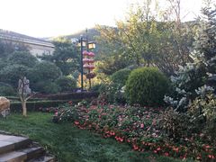 -金石唐风国际温泉会馆