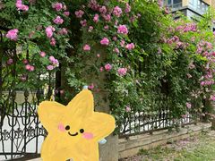 -木塔寺遗址生态公园