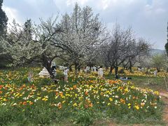 -名花谷生态庄园