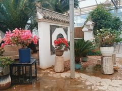-石家庄市植物园