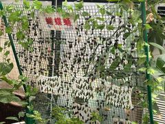 -上海大自然野生昆虫馆