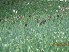 反差-长春公园(普阳街道)