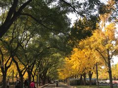 -钓鱼台国宾馆