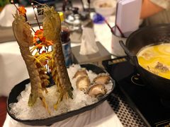 -鲜入围煮花胶鸡海鲜火锅