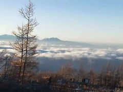 -台场海滨公园船码头