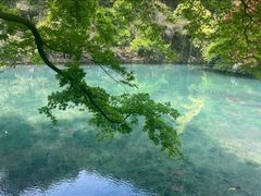 -杭州植物园