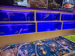 -集品堂·JPC餐厅(青年大街市府店)