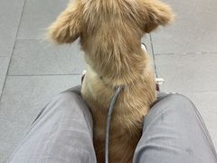 -联合动物医院(光谷诊疗中心)