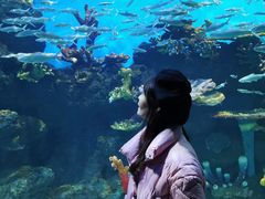 -华夏文旅海洋公园