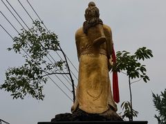 -张醪糟