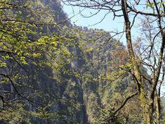 -峨眉山风景名胜区