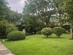 -白沙古井