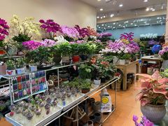 -双季花艺园艺市场(浦东店)