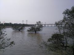 -宝安西湾红树林湿地公园